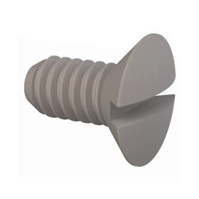 Essentra Screw M2 x 0.4 Nylon 6/6 Natural [50M020040L004]; 10396612