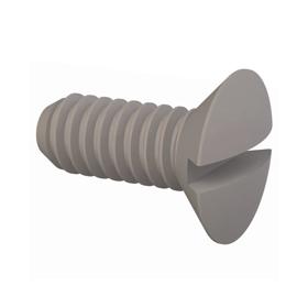 Essentra Screw M2 x 0.4 Nylon 6/6 Natural [50M020040L005]; 10396629