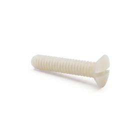 Essentra Screw M2 x 0.4 Nylon 6/6 Natural [50M020040L010]; 10396650