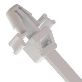 Essentra Cable Tie 131.0 mm 30.0 mm PA Natural [462697]; 10253533