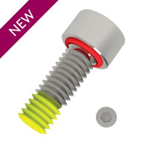 Essentra Seal Screw M6 25.0 6.0 303 Stainless with thread lock [20759575]; 20759575