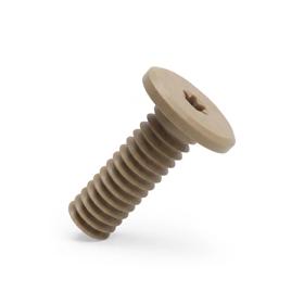 Essentra Cap Screw Torx Head M4 6.0 8.0 PEEK Beige [20833596]; 20833596