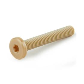 Essentra Screw Star Drive M3 20.0 mm PEEK Light Brown [1440373]; 10345023