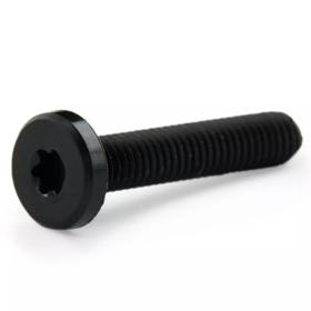 Essentra Screw Star Drive M5 25.0 mm Reny Black [1440771]; 10345702