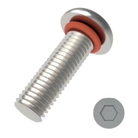 Essentra Button Head Seal Screw M3 20.0 303 Stainless Steel [20224448]; 20224448