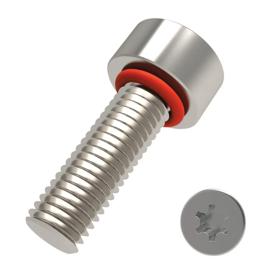 Essentra Cap Head Seal Screw M5 20.0 303 Stainless Steel [20227975]; 20227975
