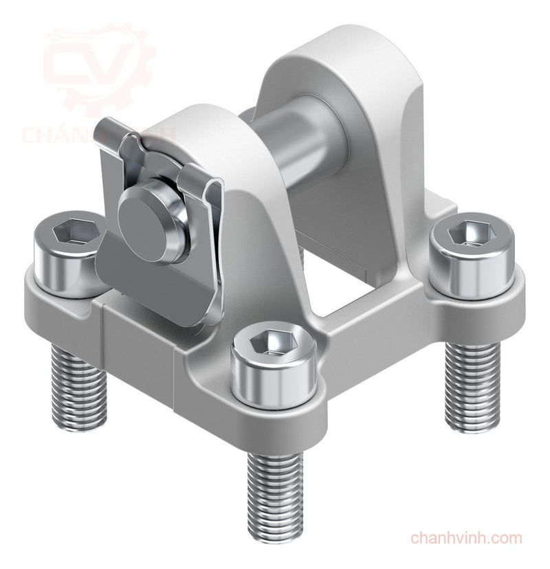 Festo SNC-80