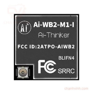 RF Solutions AI-WB2-M1-I