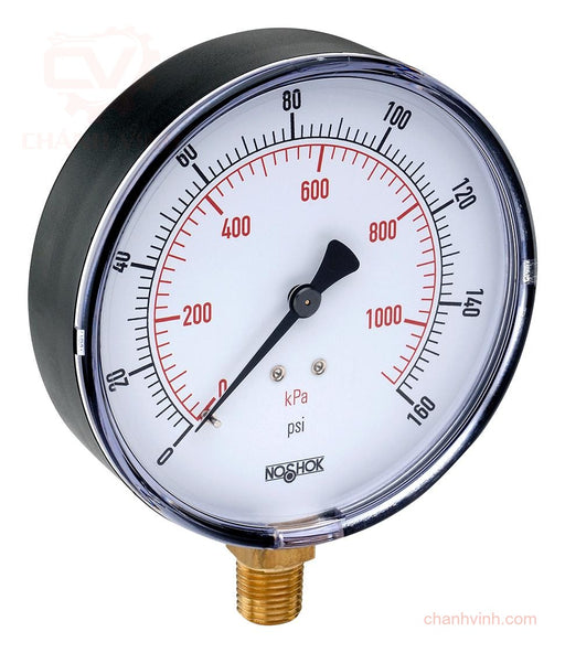 Noshok 20-100-60-PSI/KPA