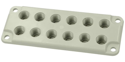 Fibox MB 10891 FLANGE 12XM20