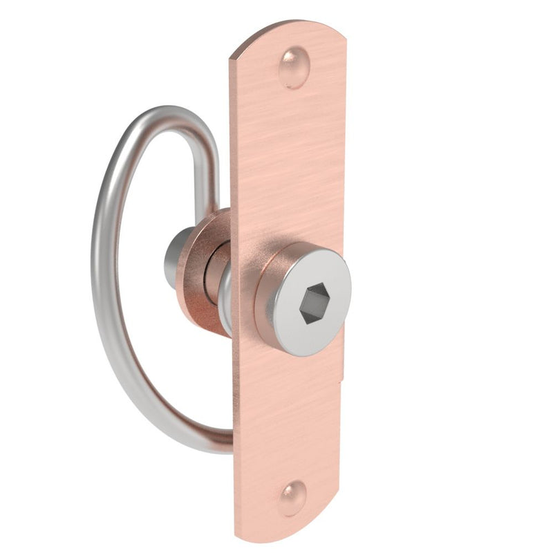 SOUTHCO Compression Latch, Self-Adjusting, Medium Size, Tool Locking, Hex Recess, Weld Installation, Smooth Spring, Steel, Copper Plated, Bright [57-10-802-50]