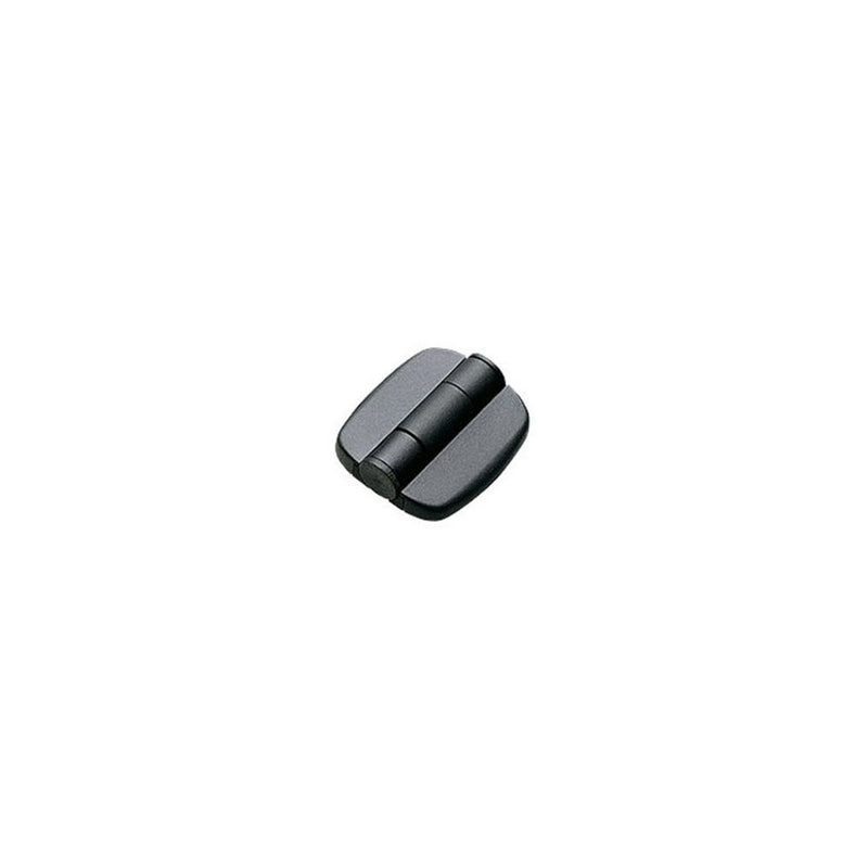 SOUTHCO Hinge Assembly, Free Swinging (No Detents), Acetal Copolymer, Black [G6-0-1]