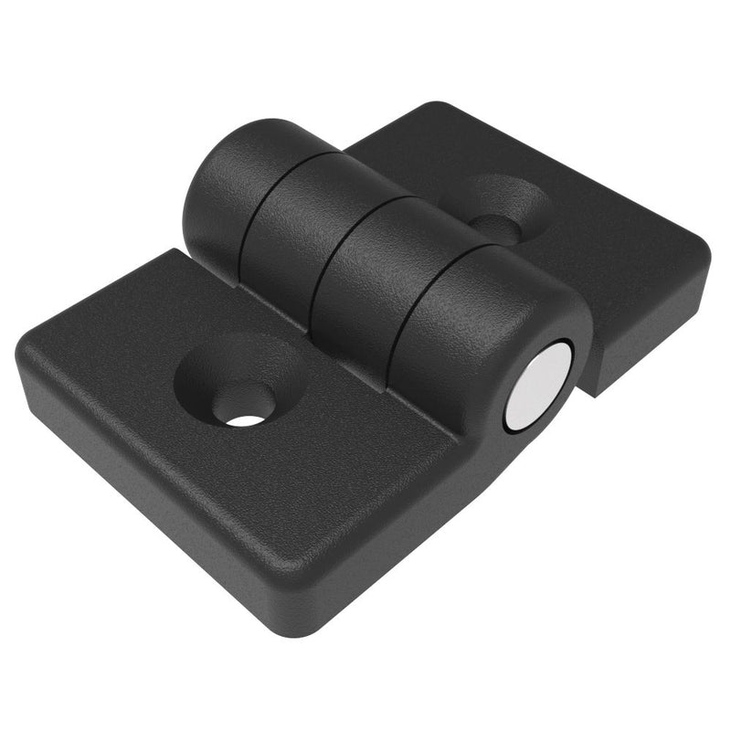 SOUTHCO Profile Hinge, 118 mm size, with Mounting CSK Holes, Polyamide, Black [EH-DHIF-4060A]