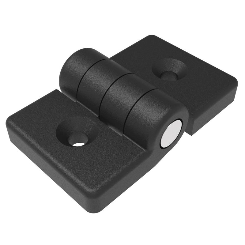 SOUTHCO Profile Hinge, 118 mm size, with Mounting CSK Holes, Polyamide, Black [EH-DHIF-4065A]