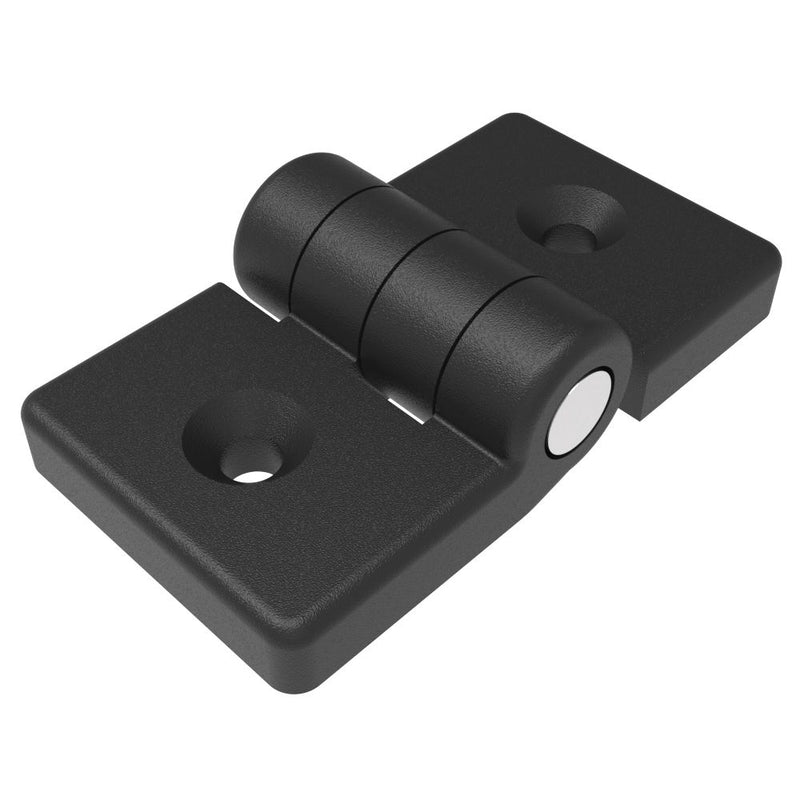 SOUTHCO Profile Hinge, 118 mm size, with Mounting CSK Holes, Polyamide, Black [EH-DHIF-4072A]