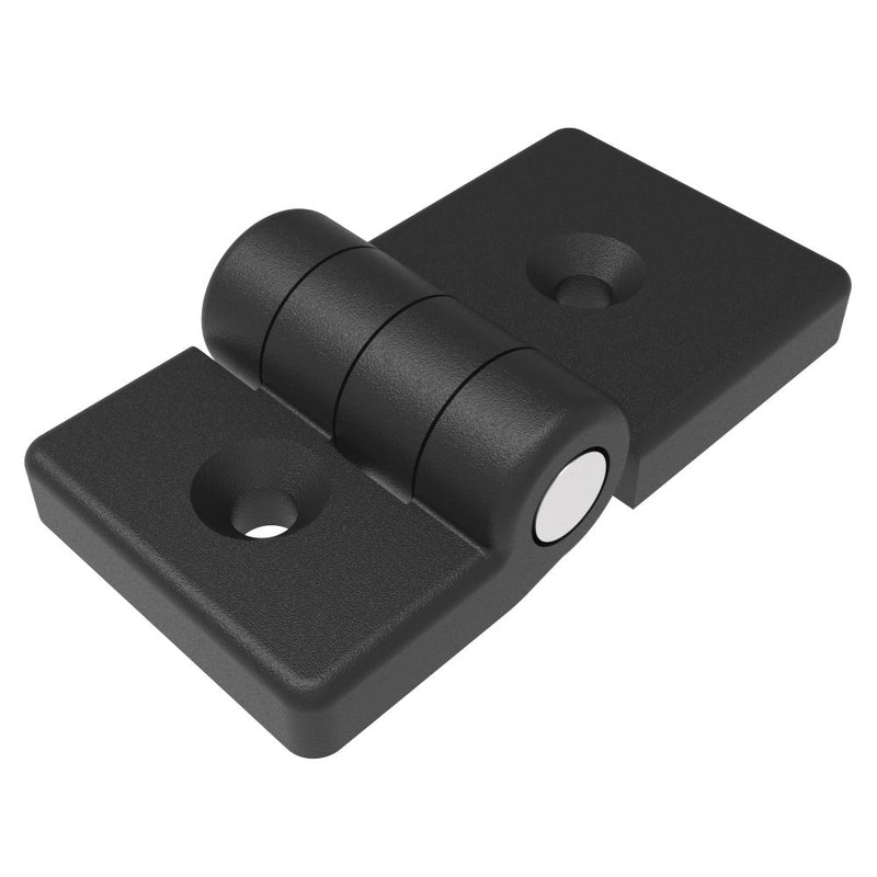 SOUTHCO Profile Hinge, 118 mm size, with Mounting CSK Holes, Polyamide, Black [EH-DHIF-4075A]