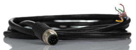 RS PRO Straight Male M12 to Unterminated Sensor Actuator Cable, 2m [0]; 250-0658