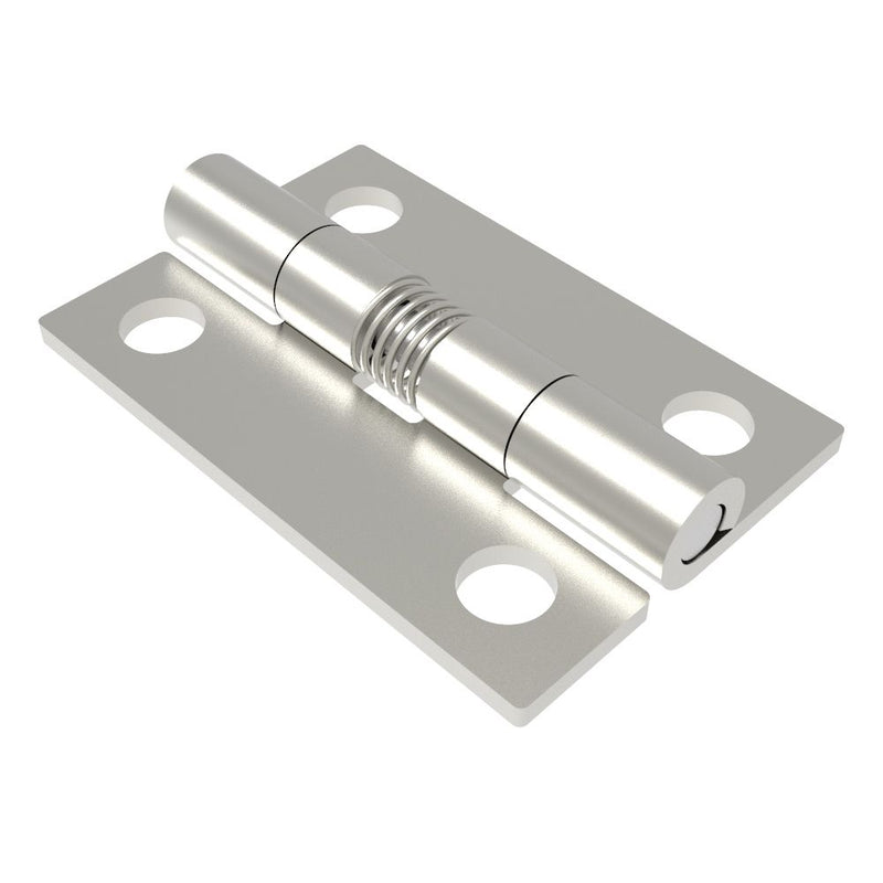 SOUTHCO Hinge, Small Leaf, Large Leaf, 39 mm (1.50 in) Long, Stainless Steel, Electro Polished [N6-DHSM-3826-SS]