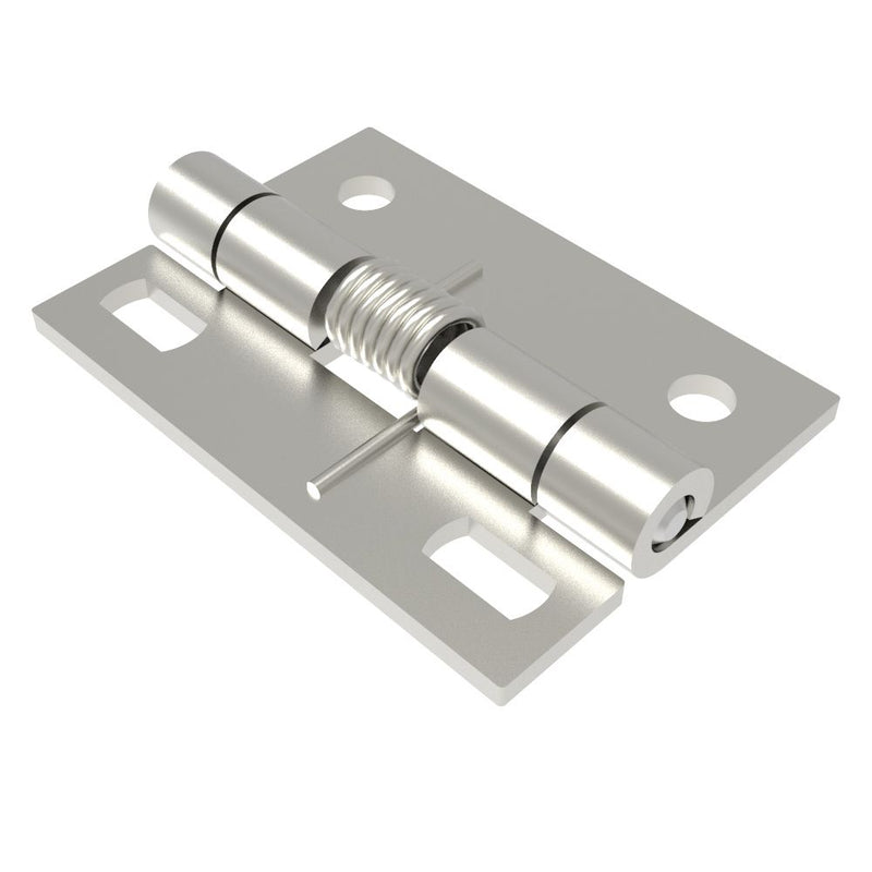 SOUTHCO Hinge, Small Leaf, Large Leaf, 62.5 mm (2.50 in) Long, Stainless Steel, Electro Polished [N6-DHSM-6346-SS]