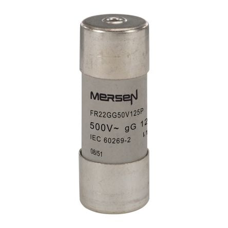 Mersen 125A Slow-Blow Ceramic Cartridge Fuse, 22.2 x 58mm [H218208]; 247-2787