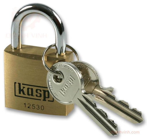 Kasp Security K12530A1