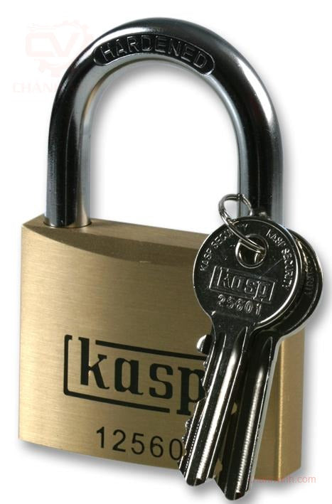 Kasp Security K12560A1