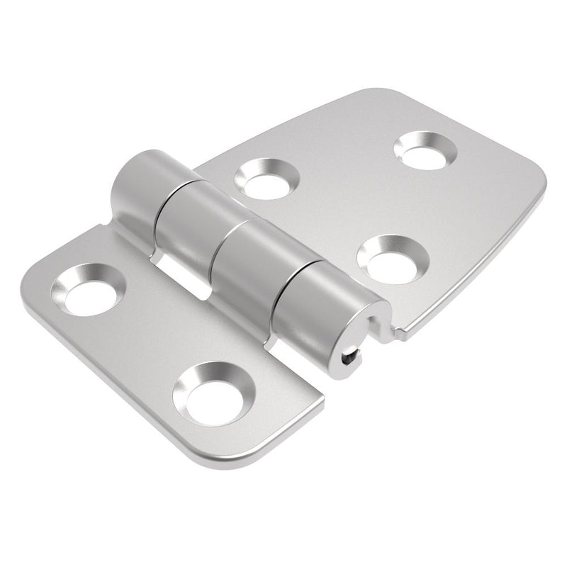 SOUTHCO Friction Hinge, Small Leaf, Medium Leaf, 38 mm (1.50 in) Long, 304 Stainless Steel, Passivated [T6-4E-424-17F-20]