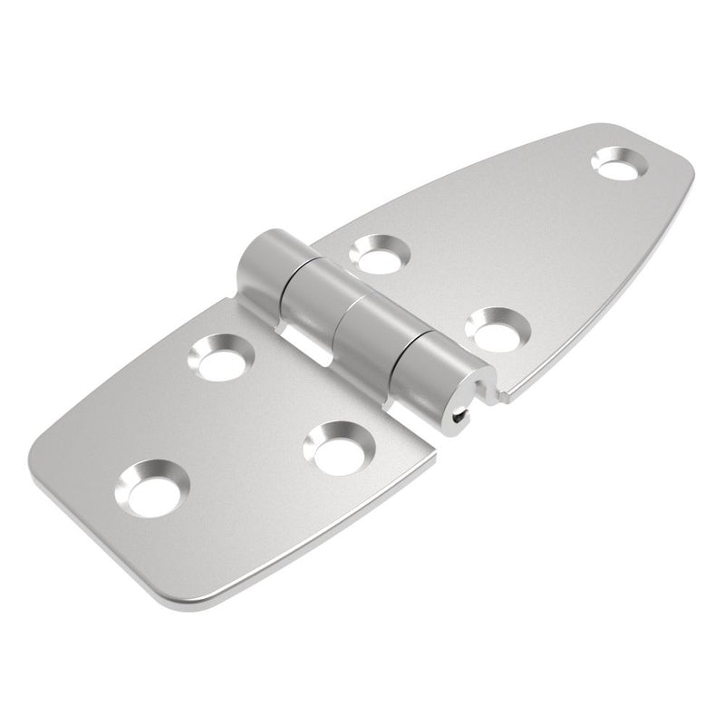 SOUTHCO Friction Hinge, Medium Leaf, Large Leaf, 38 mm (1.50 in) Long, 304 Stainless Steel, Passivated [T6-4E-446-17F-20]