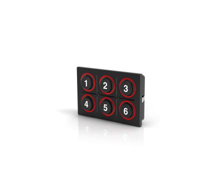 EAO IP6K9K 6 Key Illuminated Keypad [K09-00.000007]; 102-447