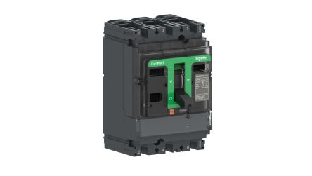 Schneider Electric Switch Disconnector, 2 Pole, 160A Fuse Current [C162160S]; 119-594