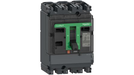 Schneider Electric Fuse Switch Disconnector, 2 Pole, 100A Max Current [C102100S]; 130-402