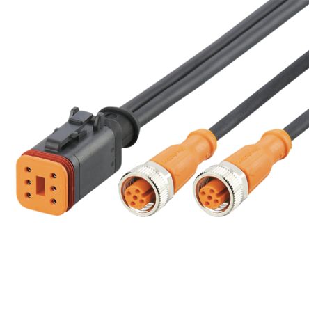 ifm electronic Straight Female 1 way Deutsch to Straight Female 2 way M12 Actuator/Sensor Cable, 2m [E12683]; 187-541