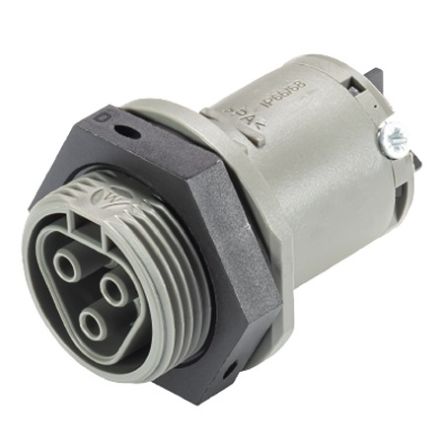 Wieland RST CLASSIC Series Connector, 3-Pole, Female, 3-Way, Push-In, 25A, IP66, IP68 [96.031.5054.3]; 212-804