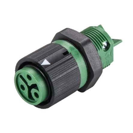 Wieland RST MINI Series Connector, 3-Pole, Female, 3-Way, Push-In, 16A, IP66, IP68, IP69 [46.031.5055.7]; 212-813