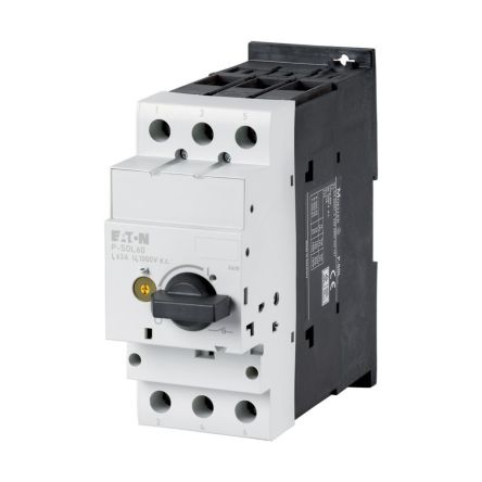 Eaton Fuse Switch Disconnector, 2 Pole, 60A Max Current, 70A Fuse Current [120936 P-SOL60]; 231-785