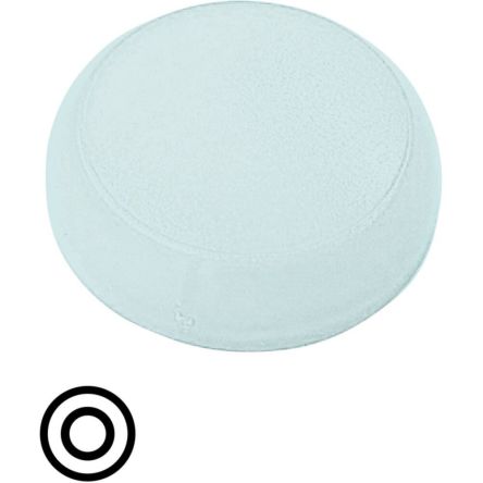 White Indicator M22 Series [218164 M22-XL-W-X0]; 252-537