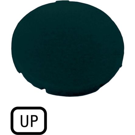 Plate for Use with Push Button [218199 M22-XD-S-GB3]; 252-543