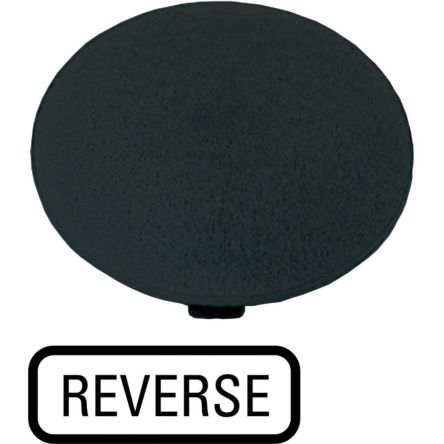 Plate for Use with Push Button [218292 M22-XDP-S-GB16]; 253-449