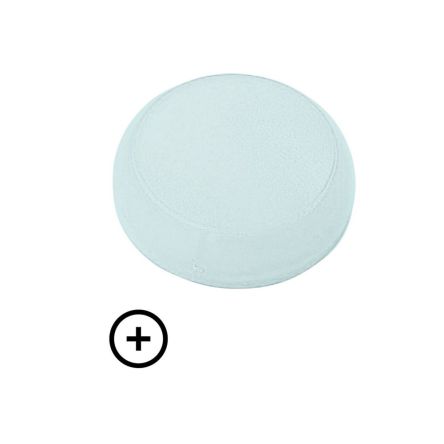Eaton White Indicator M22 Series [218388 M22-XL-W-X4]; 254-598