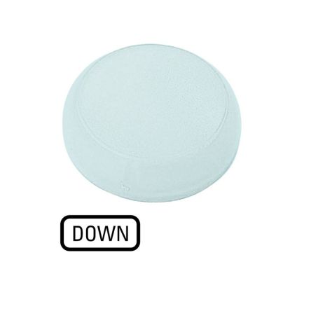 White Indicator M22 Series [218418 M22-XL-W-GB4]; 255-874