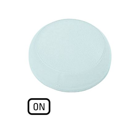 White Indicator M22 Series [218421 M22-XL-W-GB6]; 255-876