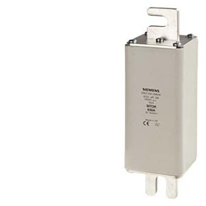 Siemens 63A Tag Fuse, 196 x 60mm, 1.5kV [3NE5318-0MK06]; 299-686