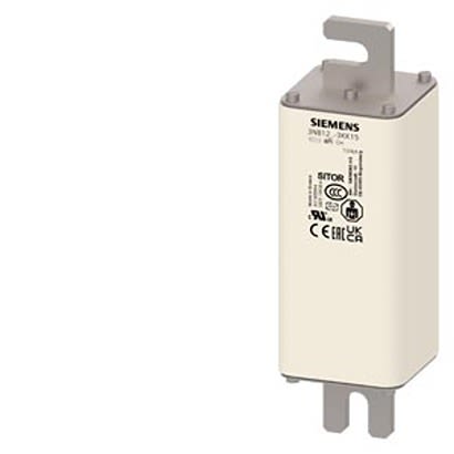 Siemens 80A Tag Fuse, 137 x 52mm, 1.25kV [3NB1222-3KK15]; 299-759