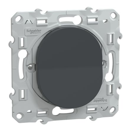 Schneider Electric Anthracite Rocker Switch Grid Module 10A, Ovalis Series [S340206]; 345-092