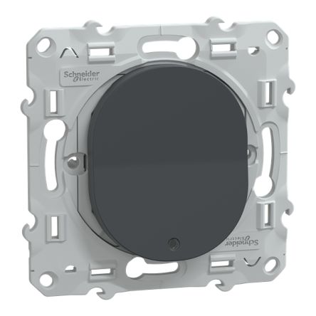 Schneider Electric Anthracite Rocker Switch Grid Module 10A, Ovalis Series [S340276]; 345-095
