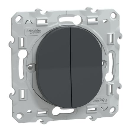 Schneider Electric 2 Way Anthracite Double Two-Way Switch Insert 10A, Ovalis Series [S340214]; 346-642