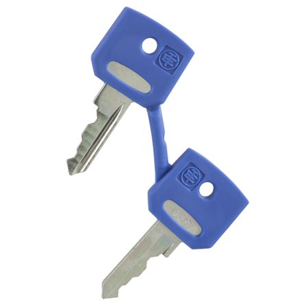 Schneider Electric Key for Fiat Type Of Lock [ZBGF046]; 354-500