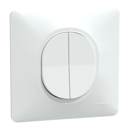 Schneider Electric Ovalis Series Push Button, Flush Mount, 250V, IP21D [S321214]; 357-248