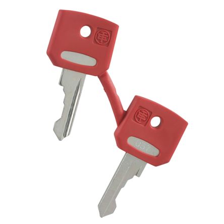 Schneider Electric Key for Reset Button [ZBGF034]; 357-975