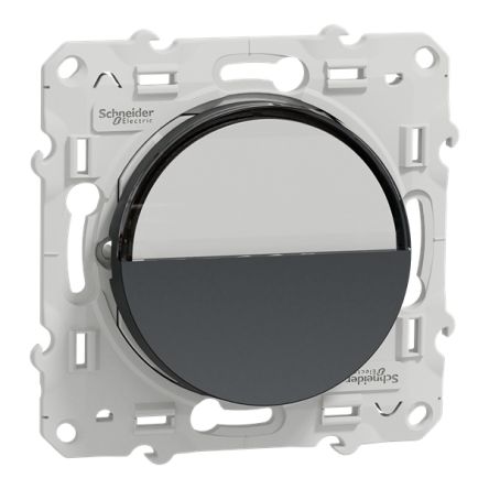 Schneider Electric Odace 2011 Series Push Button, Flush Mount, 250V, IP21D [S540266]; 358-119